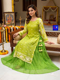 Jamdani Layered Dress (Lime Green)