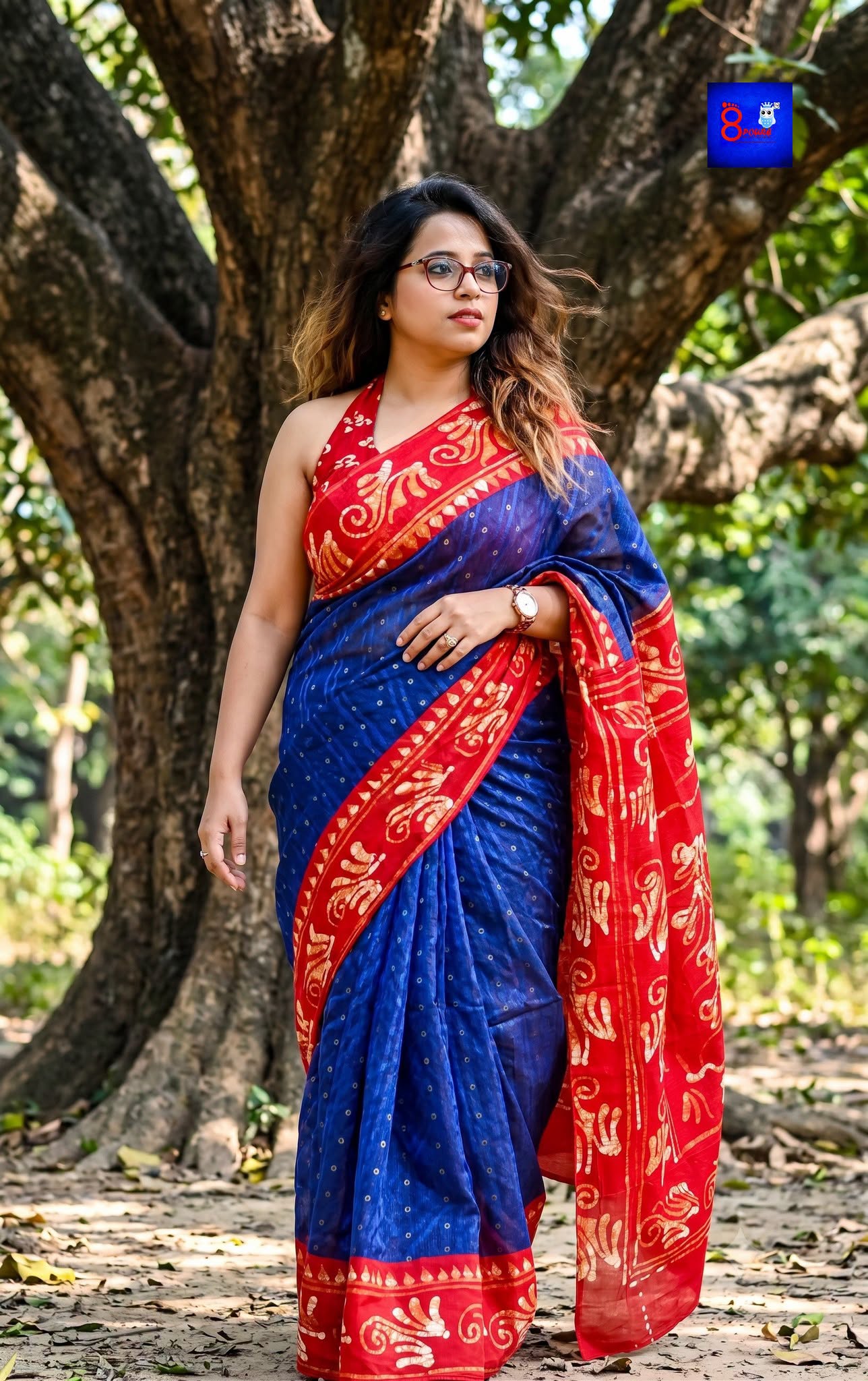 Jambatik Saree