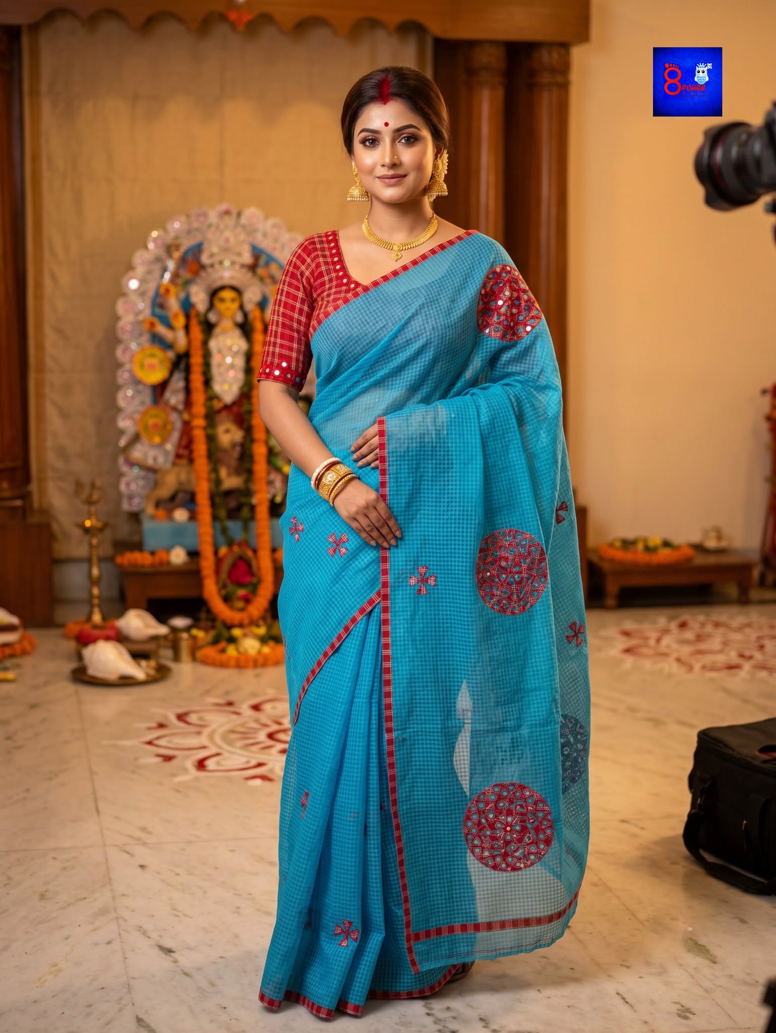 Resham Check Saree - Blue