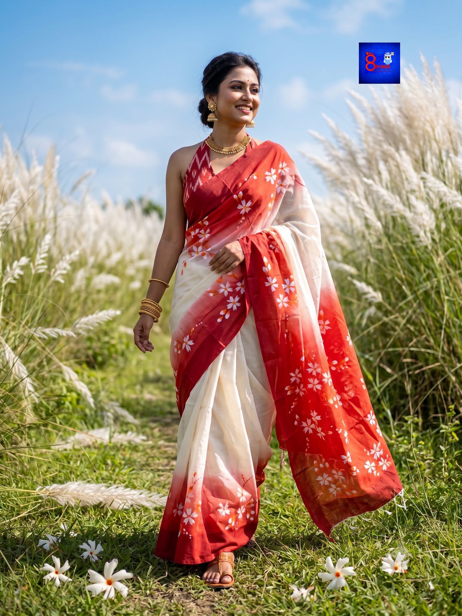 Pure Cotton Hand Painted Saree