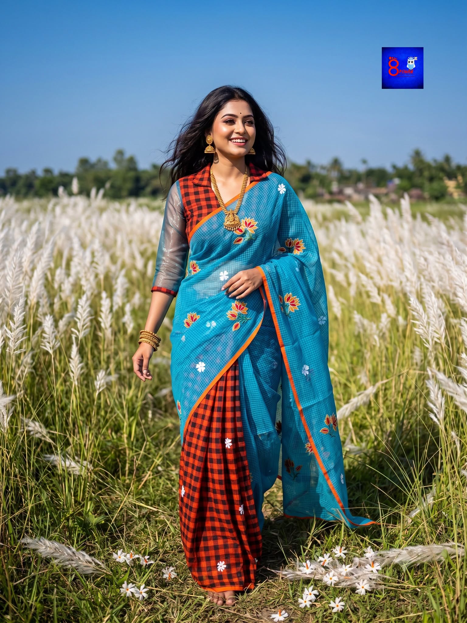Premium Cotton Embroidered Saree (Sky & Red)