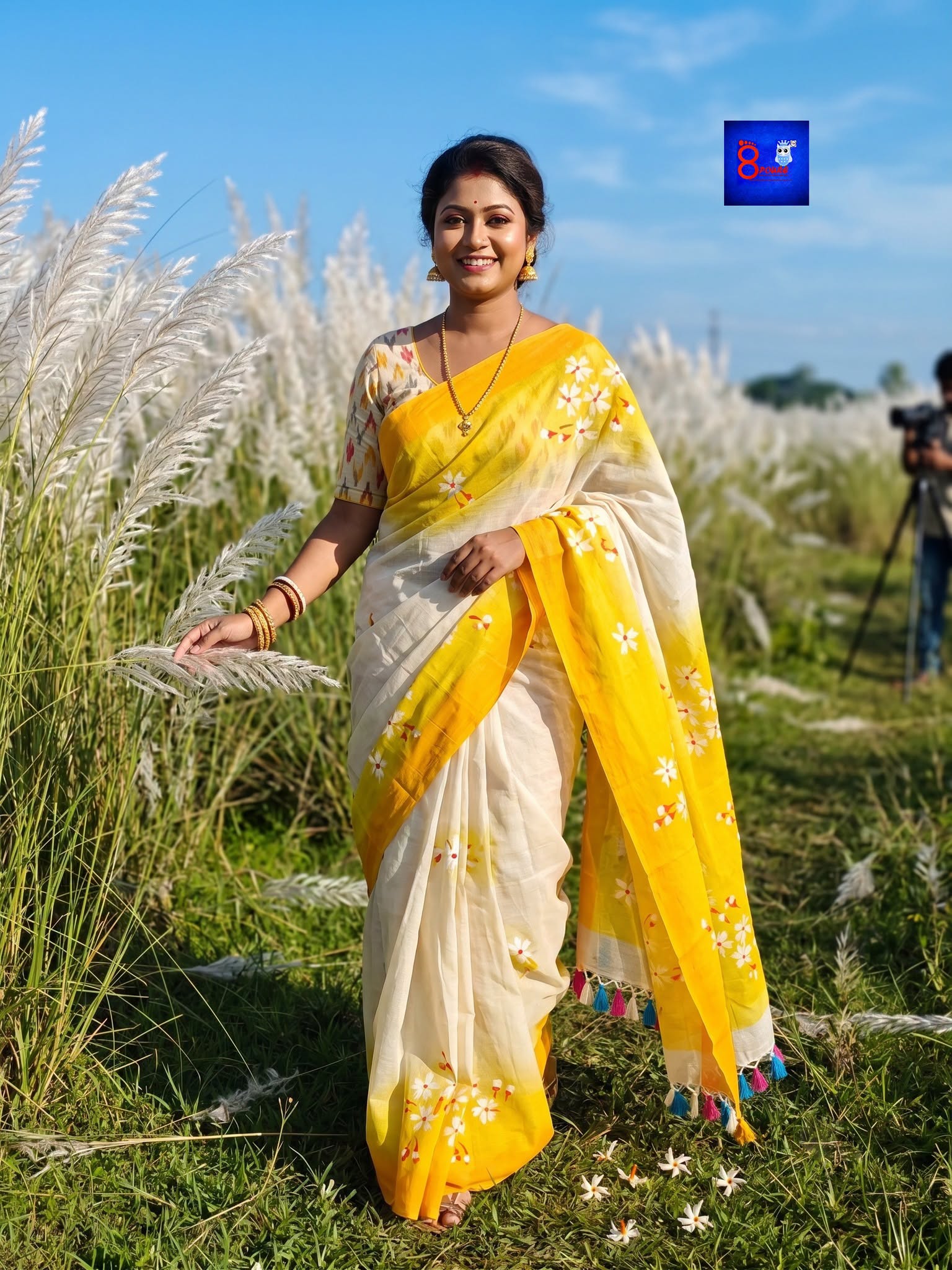 Pure Cotton Hand Painted Saree