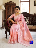 Chiffon Tissue Chikankari Parshi Embroidered Saree