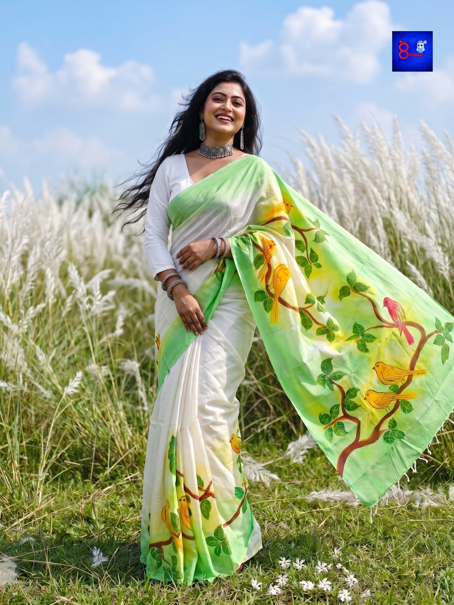 Pure Cotton Hand-Painted Saree