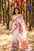 Canvas Saree - Handpainted Organza Saree